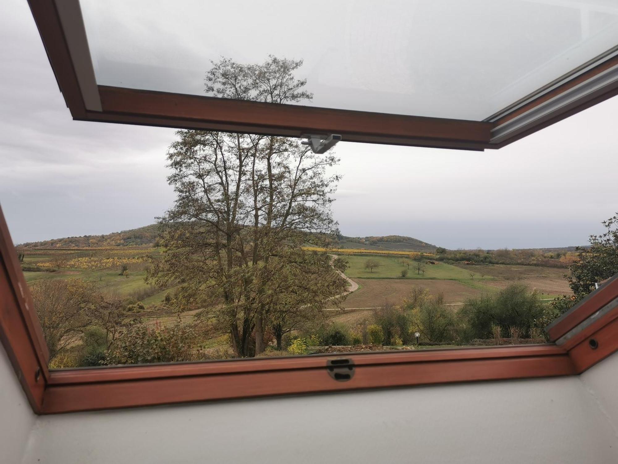 Studio Spacieux, Route Des Vins Rosheim Exterior photo